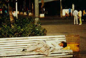 Foto von Jungen schlafend auf Parkbank